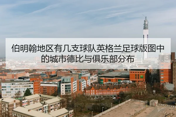 bo-ming-han-di-qu-you-ji-zhi-qiu-dui-ying-ge-lan-zu-qiu-ban-tu-zhong-de-cheng-shi-de-bi-yu-ju-le-bu-fen-bu-2-527.jpg