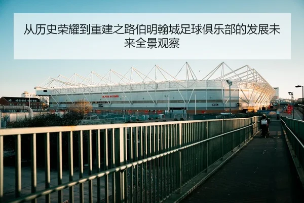 从历史荣耀到重建之路伯明翰城足球俱乐部的发展未来全景观察