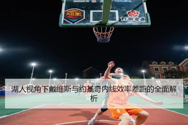 湖人视角下戴维斯与约基奇内线效率差距的全面解析